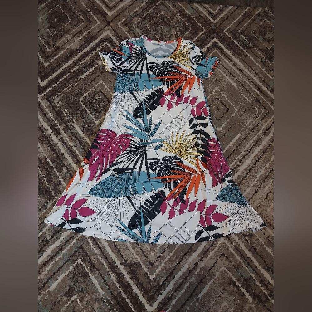 Lularoe xxs dress